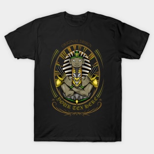 Sphinx head in Egypt T-Shirt